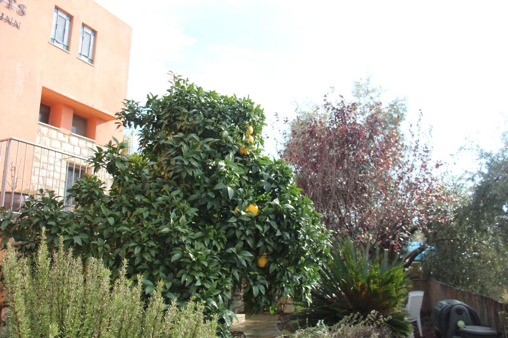Artists' Colony Inn Zefat Exterior photo